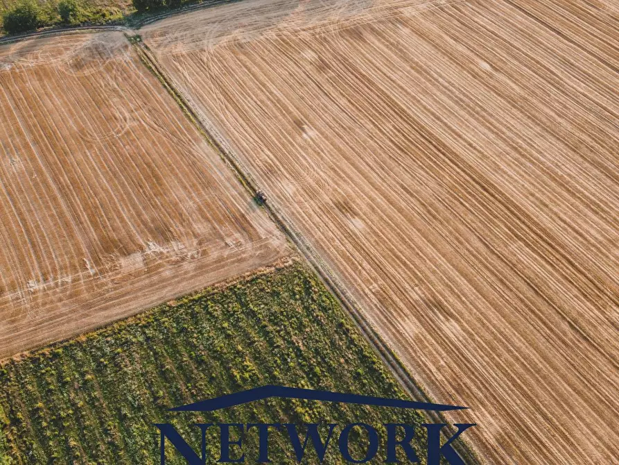 Immagine 7 di Terreno agricolo in vendita  in bertoletto a Lonato del Garda