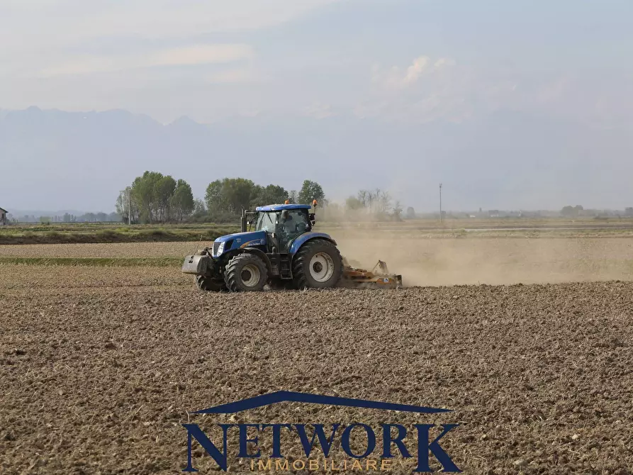 Immagine 1 di Terreno agricolo in vendita  in bertoletto a Lonato del Garda
