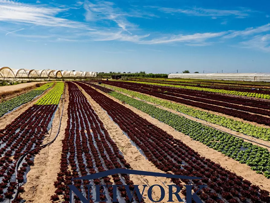 Immagine 9 di Terreno agricolo in vendita  in bertoletto a Lonato del Garda