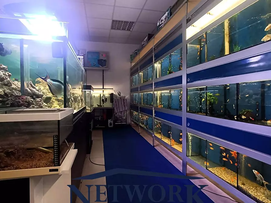 Immagine 3 di Attività commerciale in vendita  in Palestro a Calvisano
