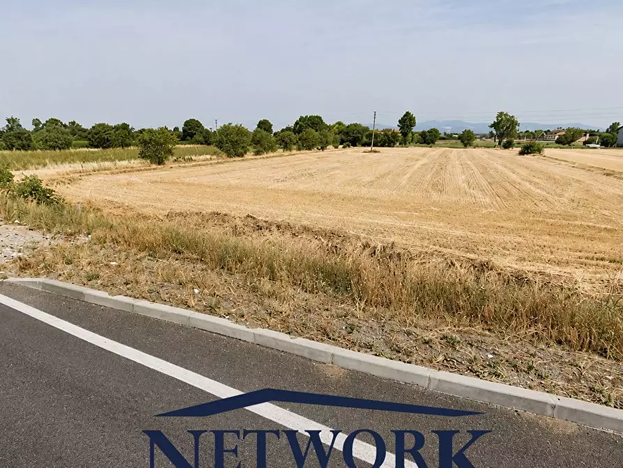Immagine 3 di Terreno agricolo in vendita  in via Santa giustina a Montichiari
