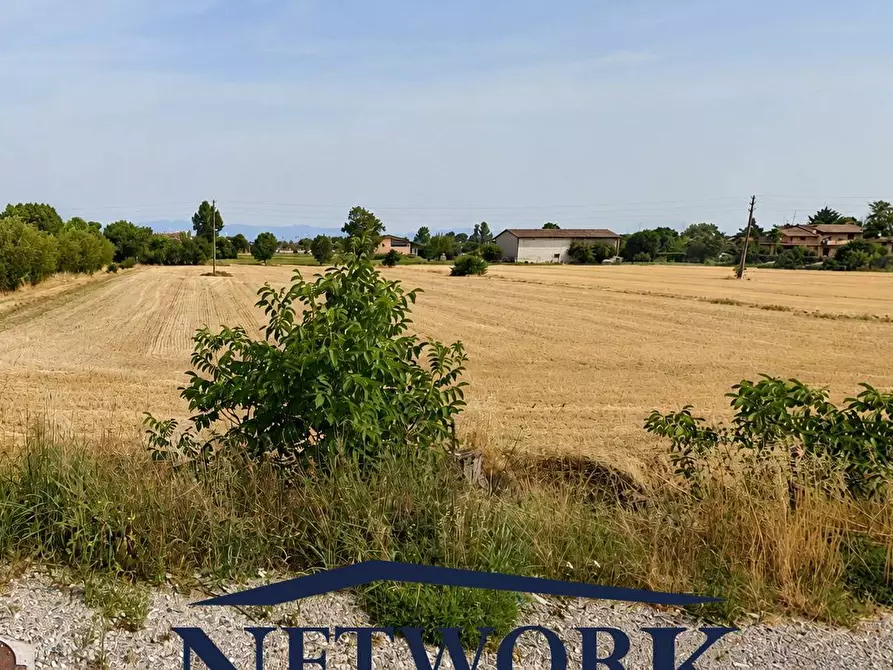 Immagine 5 di Terreno agricolo in vendita  in via Santa giustina a Montichiari