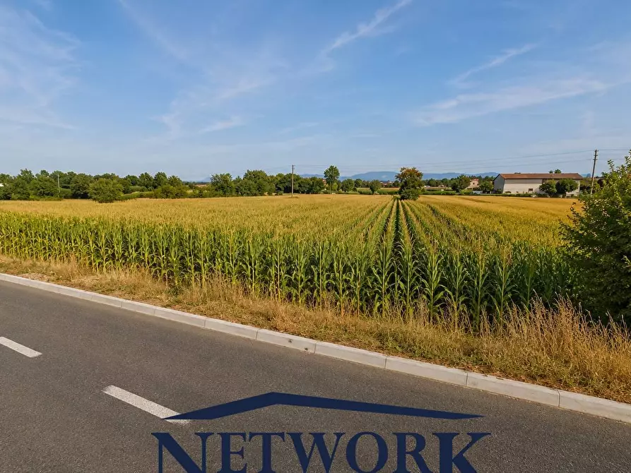 Immagine 8 di Terreno agricolo in vendita  in via Santa giustina a Montichiari