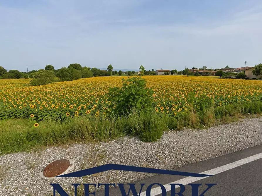 Immagine 9 di Terreno agricolo in vendita  in via Santa giustina a Montichiari