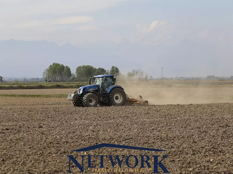 Immagine 10 di Terreno agricolo in vendita  in via Santa giustina a Montichiari