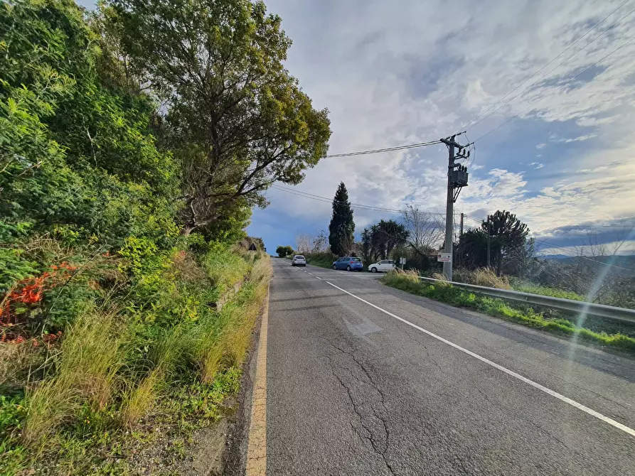 Immagine 2 di Terreno agricolo in vendita  in Viale Europa snc a Catanzaro