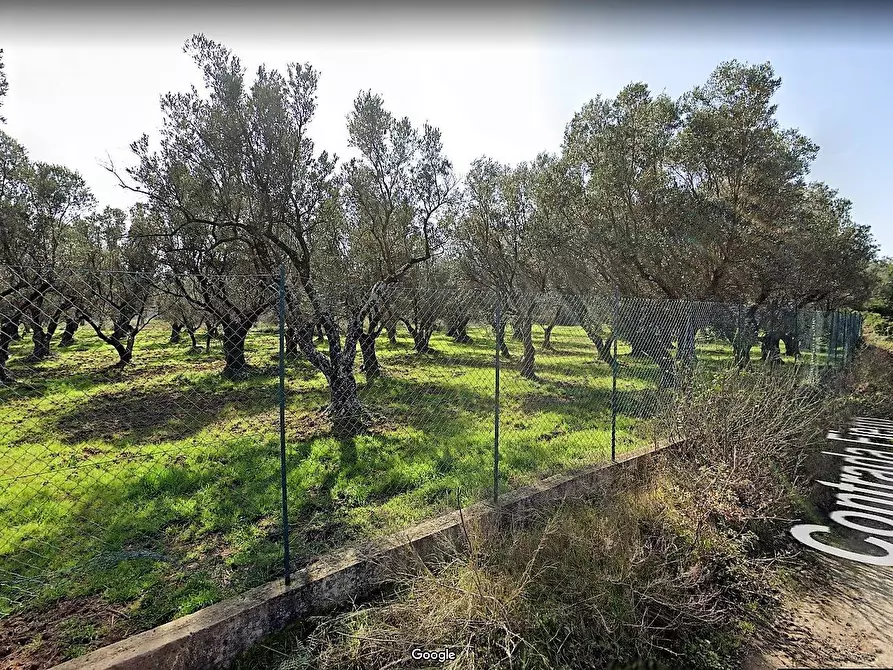 Immagine 1 di Terreno agricolo in vendita  in Contrada Fiego a Borgia