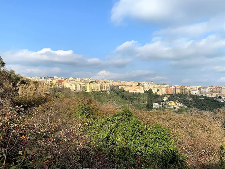 Immagine 4 di Terreno residenziale in vendita  in località sant'antonio a Catanzaro