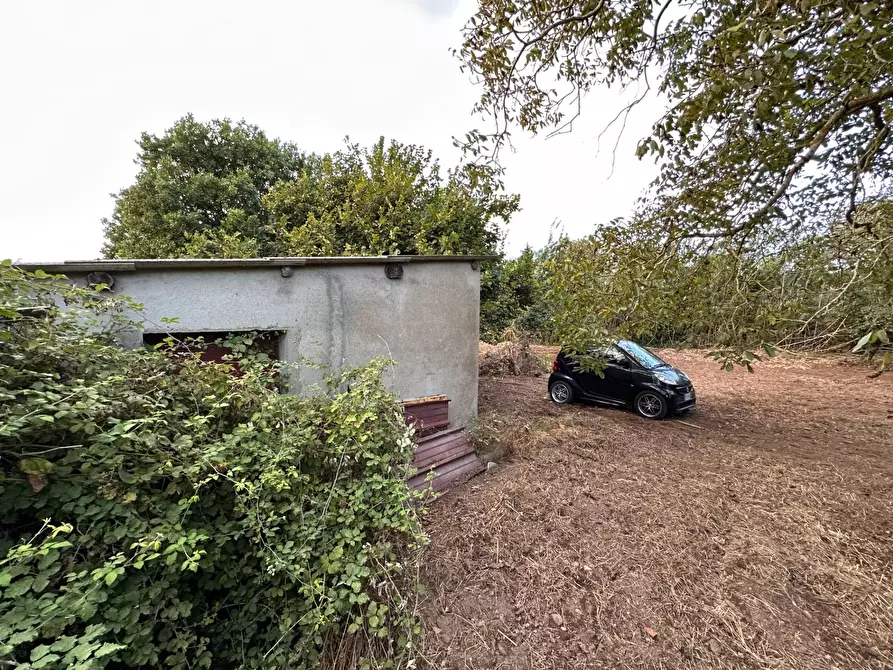 Immagine 6 di Terreno agricolo in vendita  in via San Fantino a Borgia