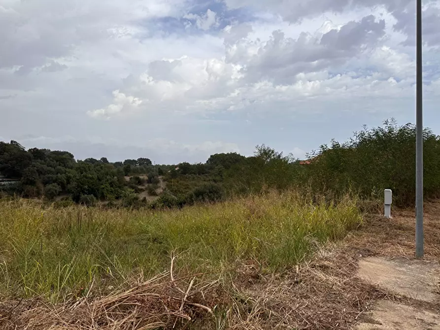 Immagine 4 di Terreno residenziale in vendita  in Via Giuseppe Saragat a Borgia
