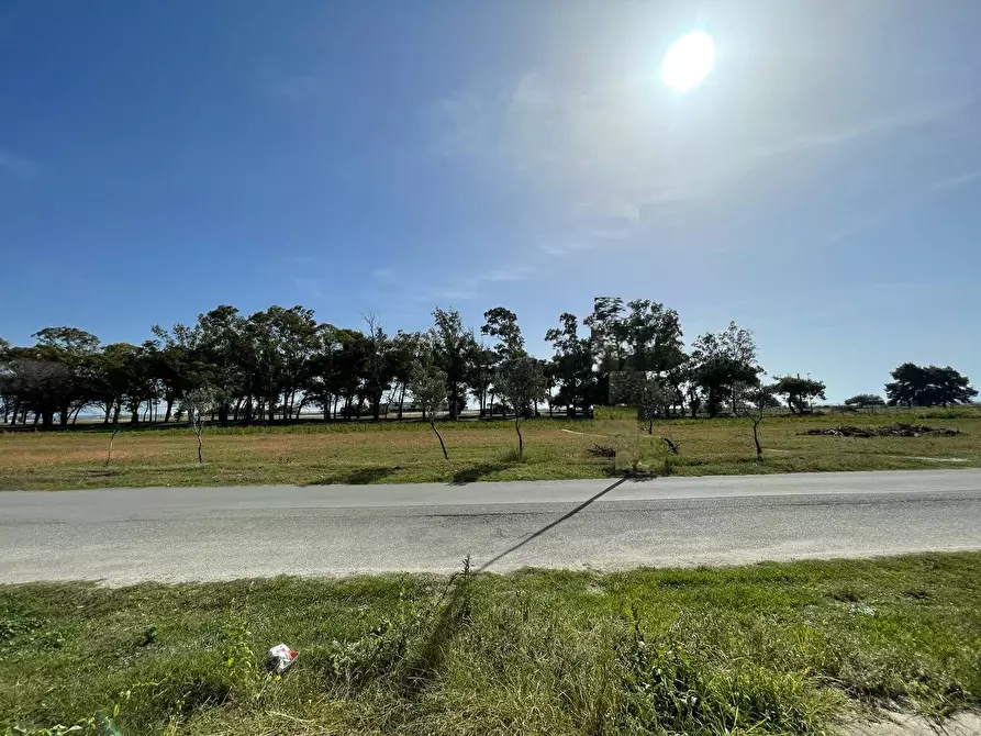 Immagine 1 di Appartamento in vendita  in Via dei Narcisi a Amaroni