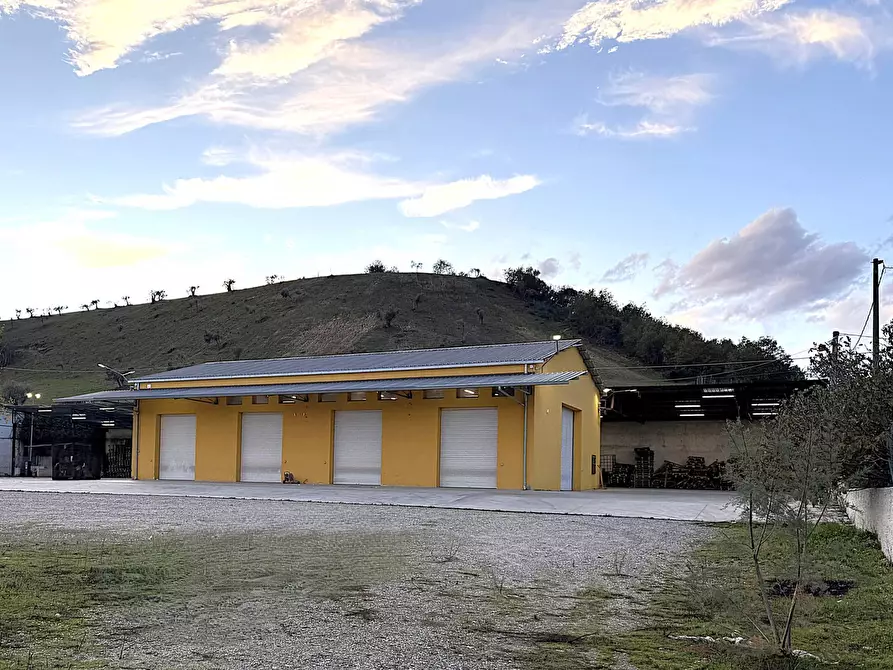 Immagine 1 di Capannone industriale in vendita  in S.da Statale 19 delle Calabrie a Altilia