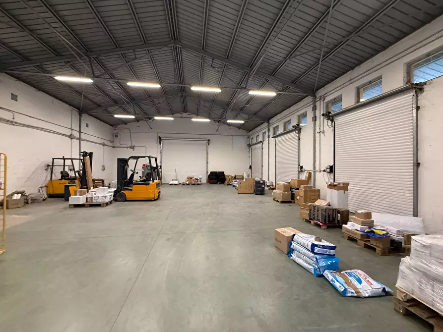 Immagine 2 di Capannone industriale in vendita  in S.da Statale 19 delle Calabrie a Altilia