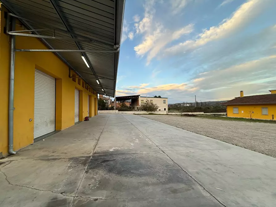 Immagine 4 di Capannone industriale in vendita  in S.da Statale 19 delle Calabrie a Altilia