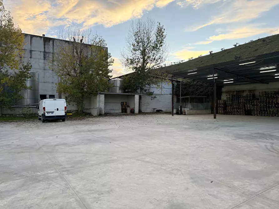 Immagine 8 di Capannone industriale in vendita  in S.da Statale 19 delle Calabrie a Altilia