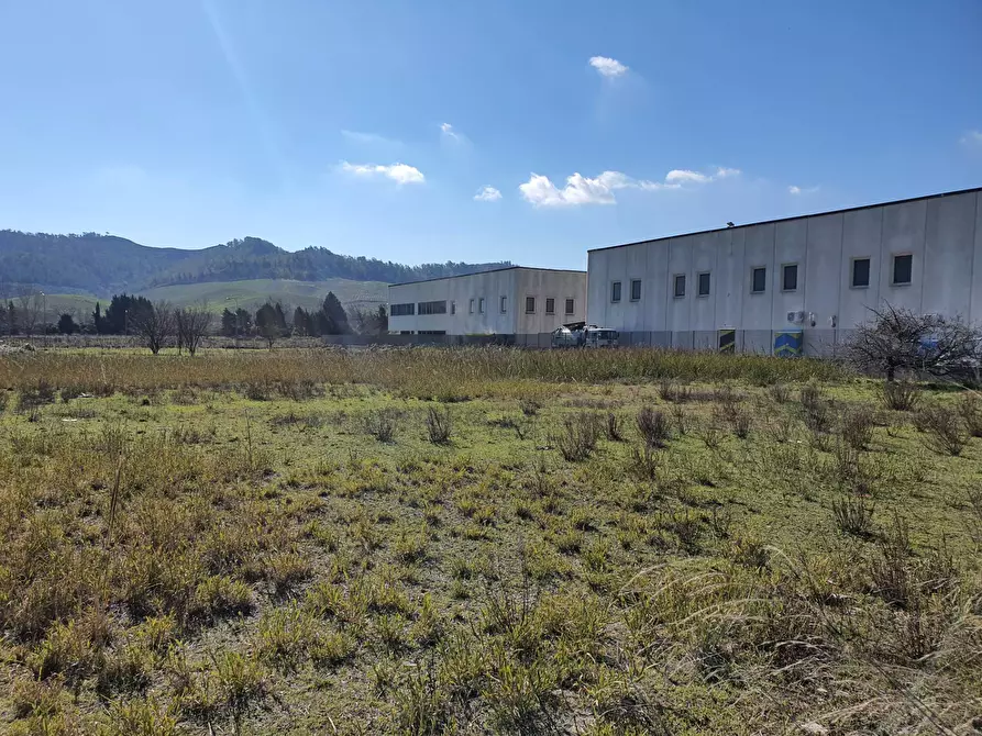 Immagine 3 di Terreno residenziale in vendita  in località difesa a Catanzaro