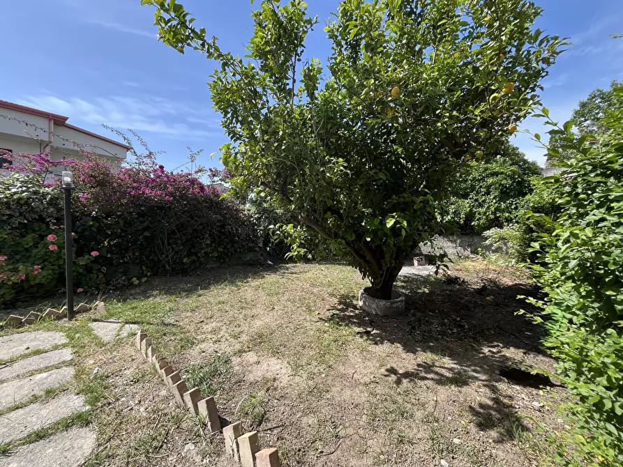 Immagine 18 di Appartamento in vendita  in Viale San Francesco da Paola 1 a Amaroni