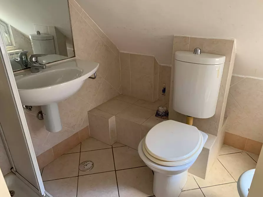 Immagine 15 di Appartamento in affitto  in viale degli Angioini a Catanzaro