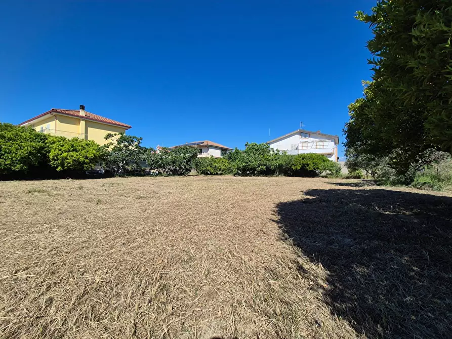 Immagine 3 di Terreno residenziale in vendita  in Via Andrea Cefally Jr. a Borgia