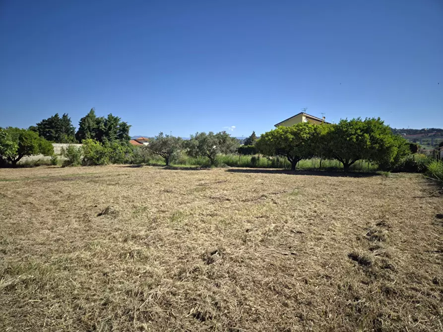 Immagine 6 di Terreno residenziale in vendita  in Via Andrea Cefally Jr. a Borgia