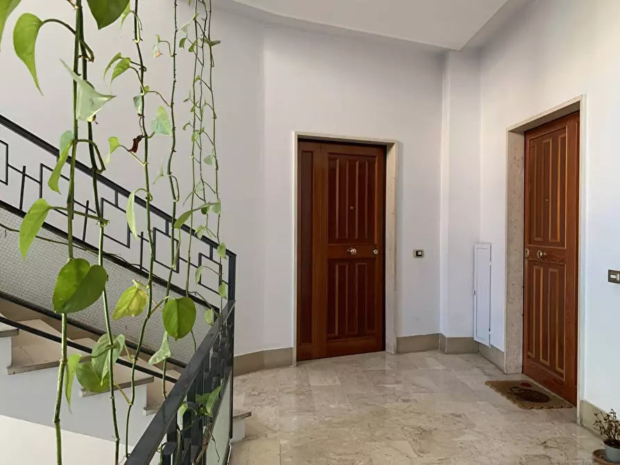 Immagine 22 di Appartamento in vendita  in viale dei Normanni a Catanzaro