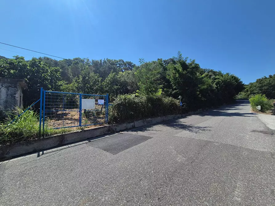 Immagine 1 di Terreno agricolo in vendita  in Strada Provinciale 49 a Amaroni