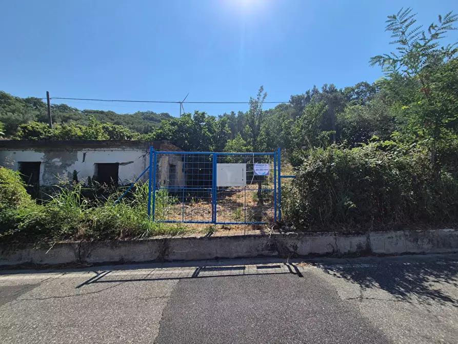 Immagine 2 di Terreno agricolo in vendita  in Strada Provinciale 49 a Amaroni