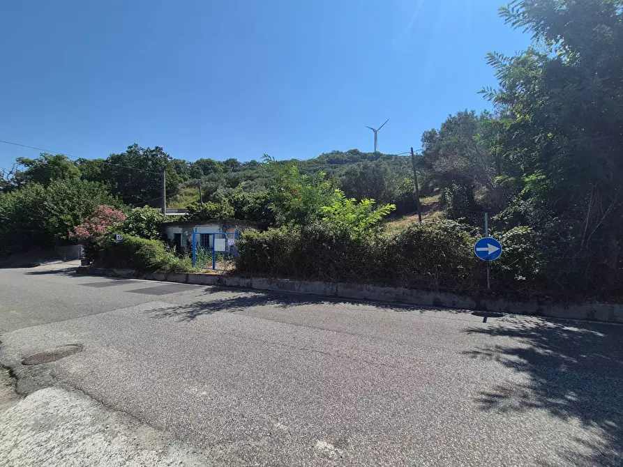 Immagine 5 di Terreno agricolo in vendita  in Strada Provinciale 49 a Amaroni