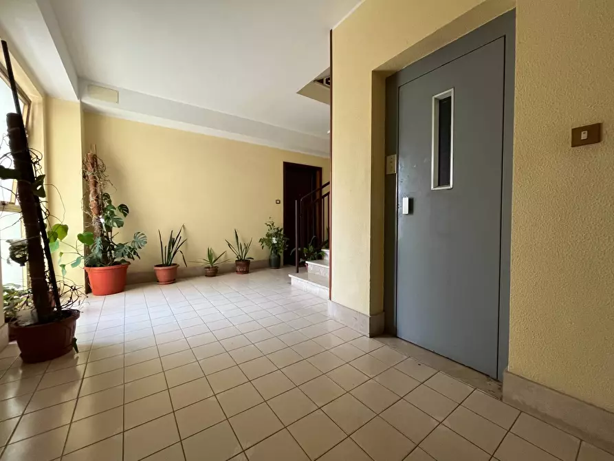 Immagine 19 di Appartamento in vendita  in Via Bezzecca 1/B a Catanzaro