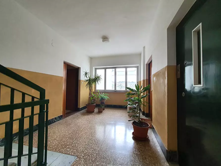 Immagine 17 di Appartamento in vendita  in via Italo Paparazzo a Catanzaro