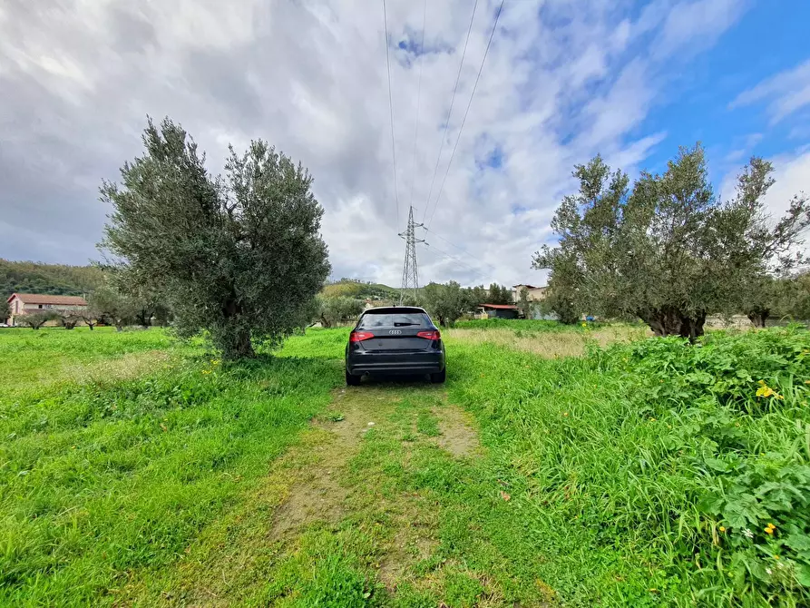 Immagine 3 di Terreno residenziale in vendita  in via Fiume Neto a Catanzaro