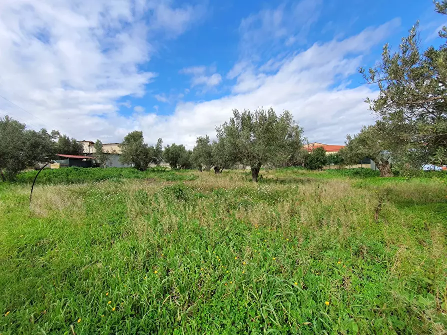 Immagine 5 di Terreno residenziale in vendita  in via Fiume Neto a Catanzaro