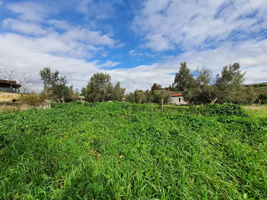 Immagine 7 di Terreno residenziale in vendita  in via Fiume Neto a Catanzaro