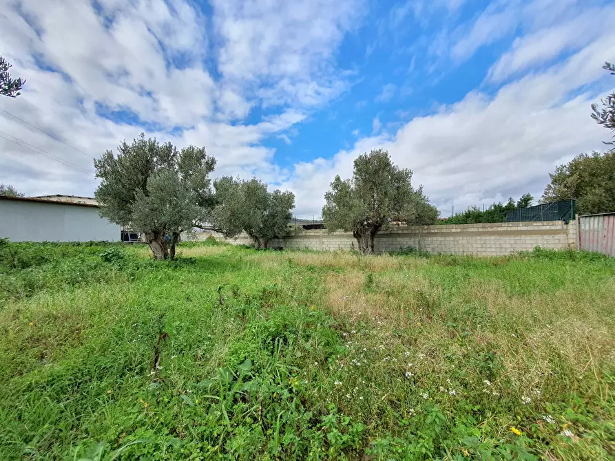 Immagine 9 di Terreno residenziale in vendita  in via Fiume Neto a Catanzaro