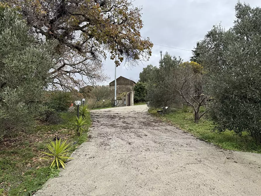 Immagine 24 di Villa in vendita  in via Codella a Amato