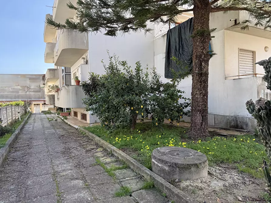 Immagine 14 di Appartamento in affitto  in via Sant'Elena a Catanzaro