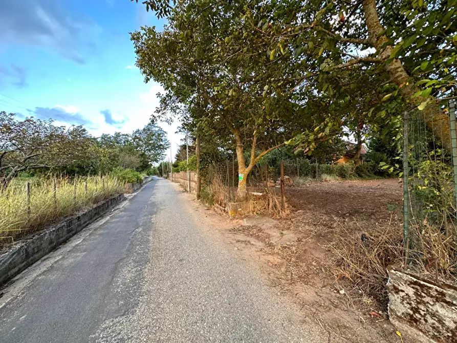 Immagine 8 di Terreno agricolo in vendita  in via San Fantino a Borgia