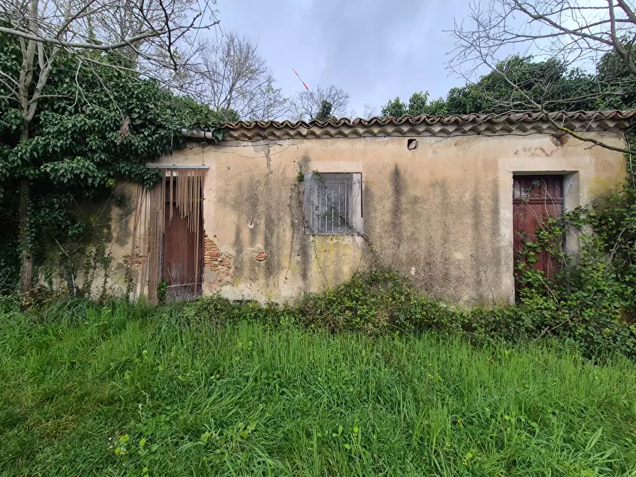 Immagine 2 di Magazzino in vendita  in CONTRADA CERASIA a Borgia