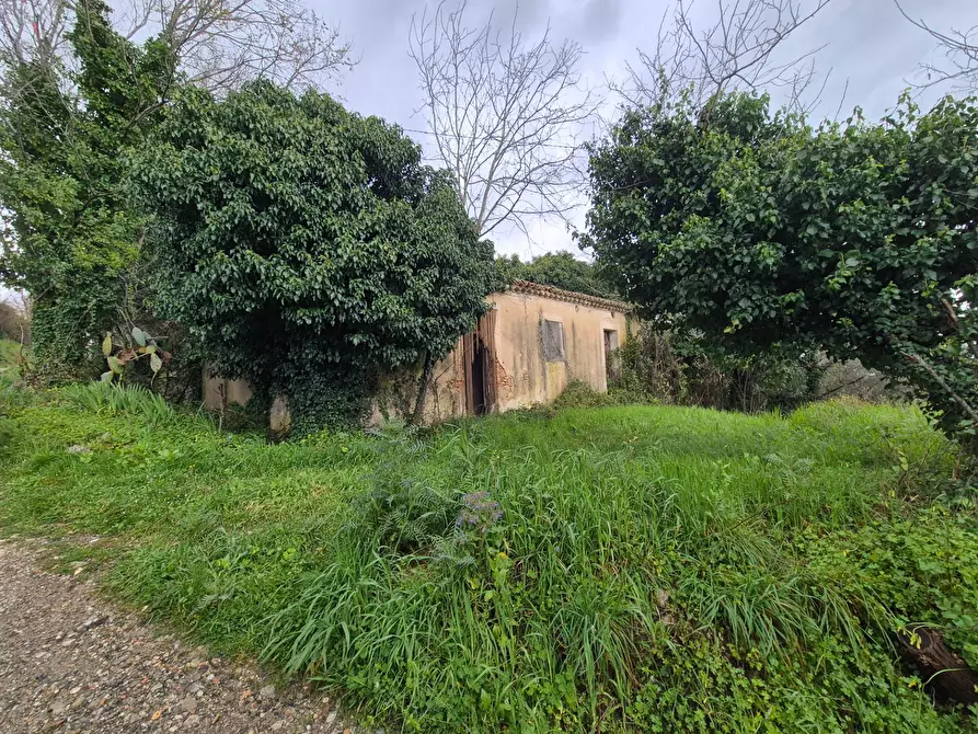 Immagine 1 di Magazzino in vendita  in CONTRADA CERASIA a Borgia