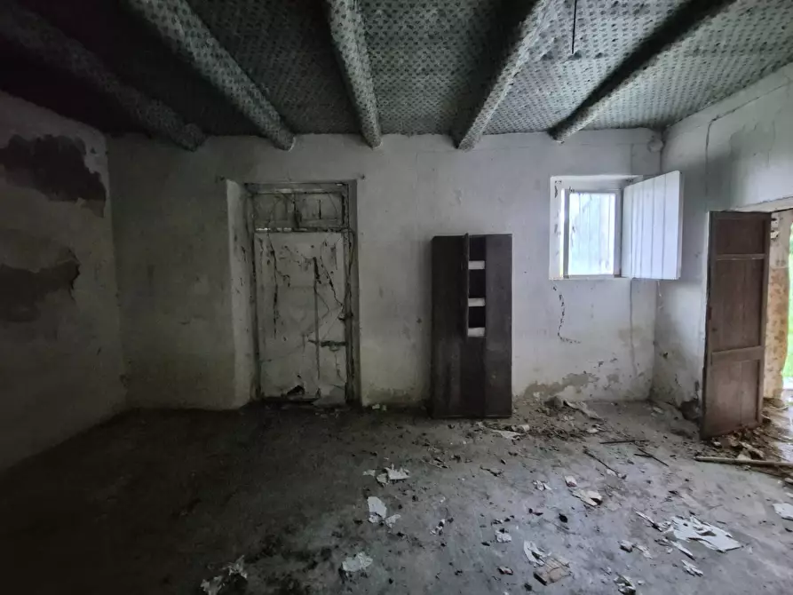 Immagine 3 di Magazzino in vendita  in CONTRADA CERASIA a Borgia