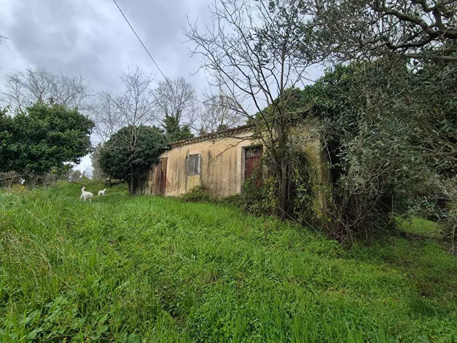 Immagine 5 di Magazzino in vendita  in CONTRADA CERASIA a Borgia