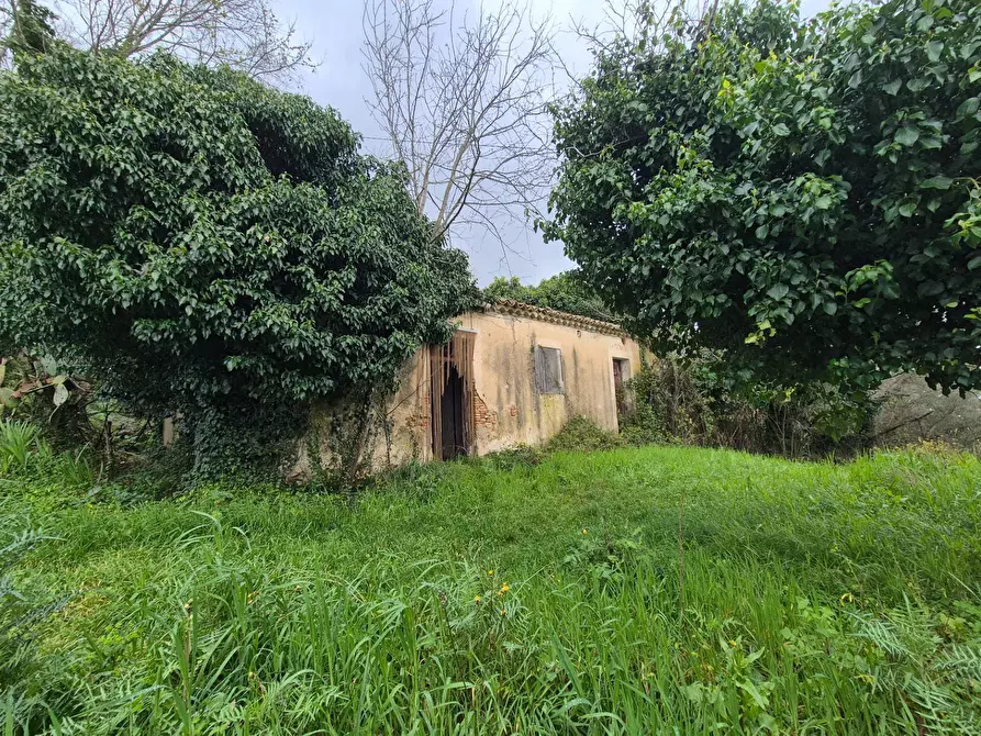 Immagine 6 di Magazzino in vendita  in CONTRADA CERASIA a Borgia