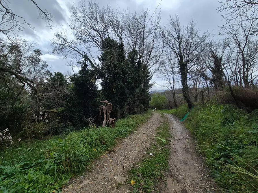 Immagine 8 di Magazzino in vendita  in CONTRADA CERASIA a Borgia