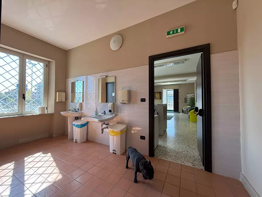 Immagine 7 di Palazzo in vendita  in viale Magna Grecia 215 a Catanzaro