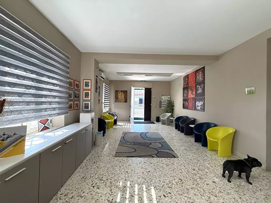 Immagine 24 di Palazzo in vendita  in viale Magna Grecia 215 a Catanzaro