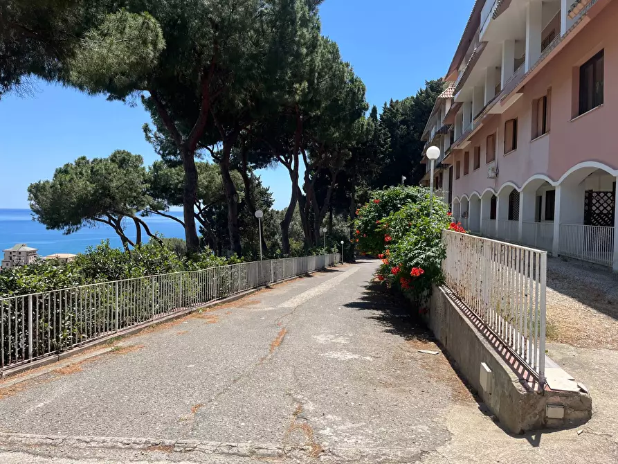Immagine 14 di Appartamento in affitto  in Piazzale Elvira Marincola Cattaneo 49 a Catanzaro