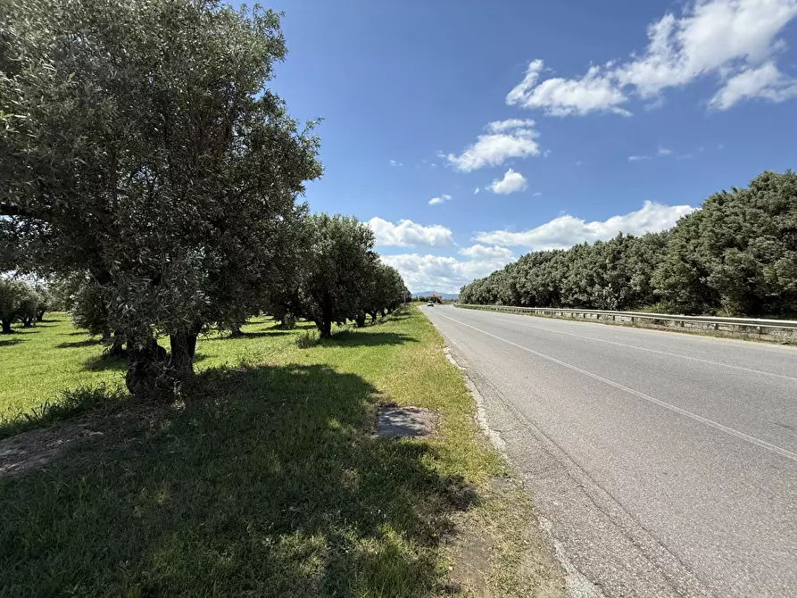 Immagine 1 di Terreno residenziale in vendita  in via Bellino a Catanzaro