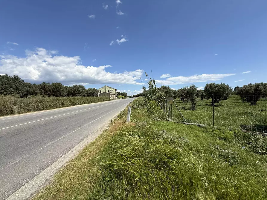 Immagine 6 di Terreno residenziale in vendita  in via Bellino a Catanzaro