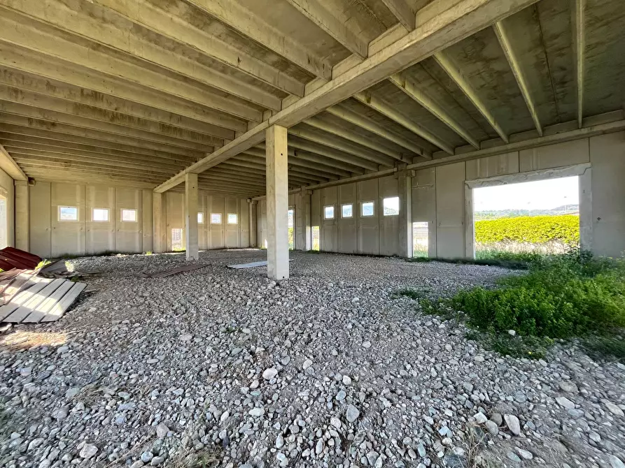 Immagine 7 di Rustico / casale in vendita  in contrada difesa 16 a Catanzaro