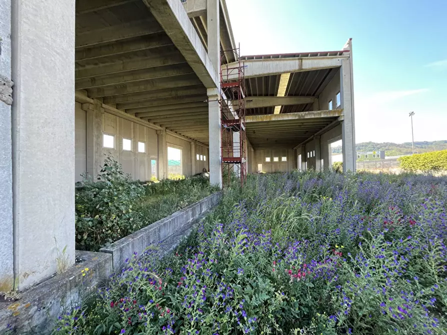 Immagine 8 di Rustico / casale in vendita  in contrada difesa 16 a Catanzaro